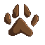 Homed Paw Logo